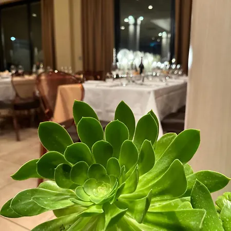 Hotel Grand Forli