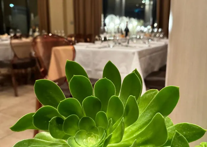 호텔 Grand 포를리